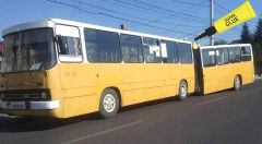 Primarul Dobre a identificat soluția pentru modernizarea transportului ploieștean: „Lipim burduful de la Ikarus cu super-glue. N-are moarte”