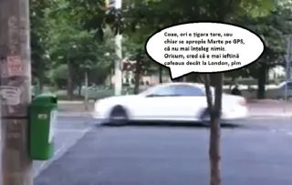 Zece aspecte legate de zebrele supraînălțate din Ploiești