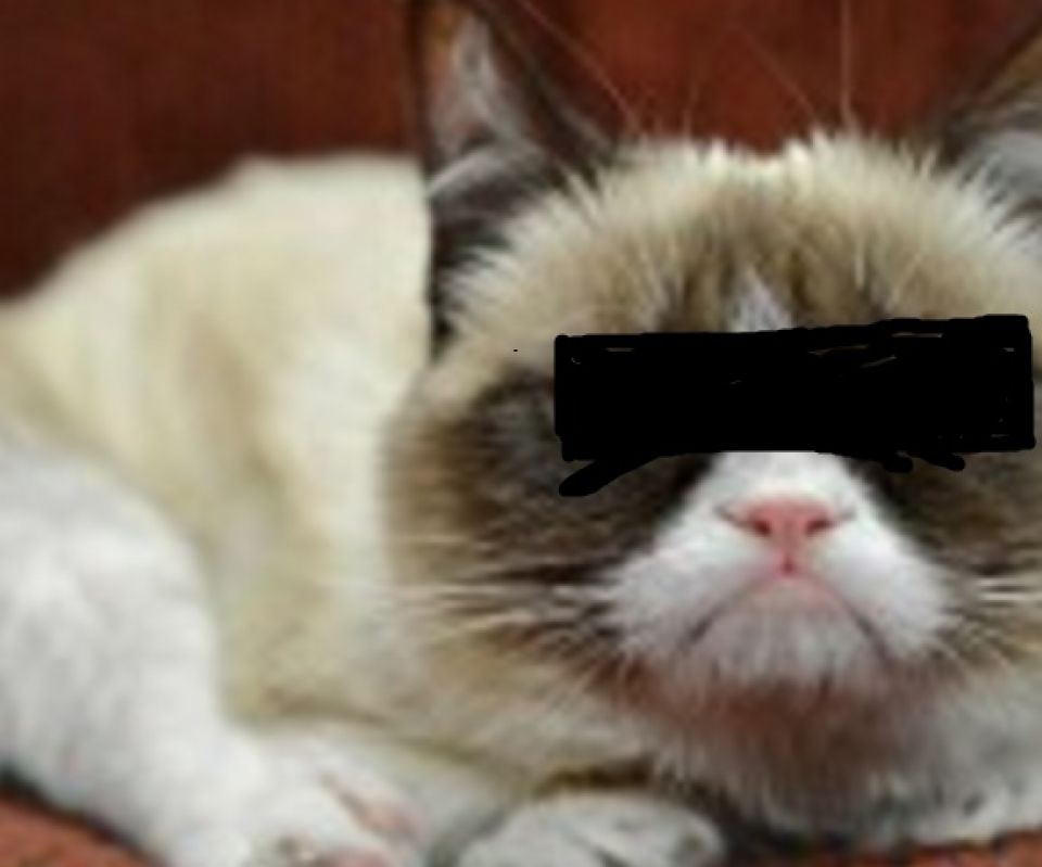 Exclusiv: Momente unice din filmul revenirii lui Mircea Cosma la conducerea PSD Prahova. Teatru scurt.