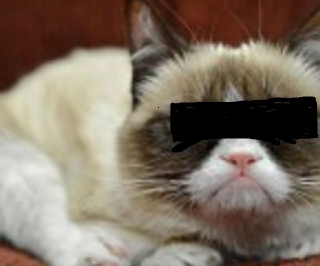 Exclusiv: Momente unice din filmul revenirii lui Mircea Cosma la conducerea PSD Prahova. Teatru scurt.