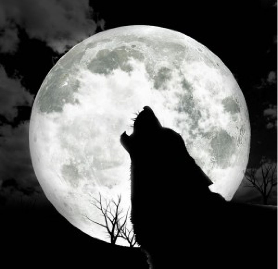 Opt detalii EXCLUSIVE despre fenomenul astronomic „Super Luna”, vizibil o dată pe generație