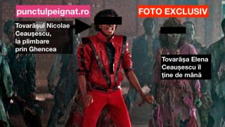 Tovarășul Nicolae Ceaușescu, mesaj către Volosevici: Atrage, tovarășe, fonduri UE, că ne umpli de datorii!