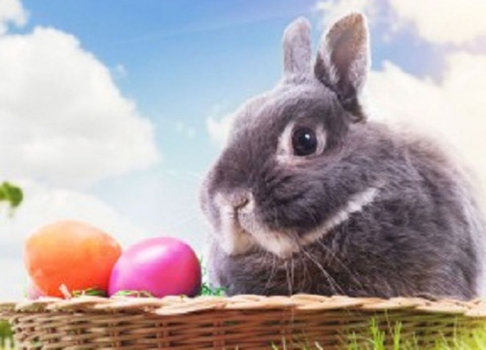 Exclusiv: Cum își petrec personalitățile politice ale Prahovei Sfintele Sărbători Pascale