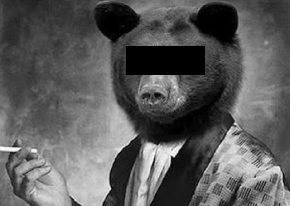 Ursul alergat de jandarmi în Bușteni coborâse după țigări, că s-a închis chioșcul din pădure