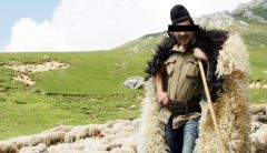 Proiect legislativ major: După ce au dat liber la bătut neveste, senatorii lucrează intens la Primul Viol și Primul Topor