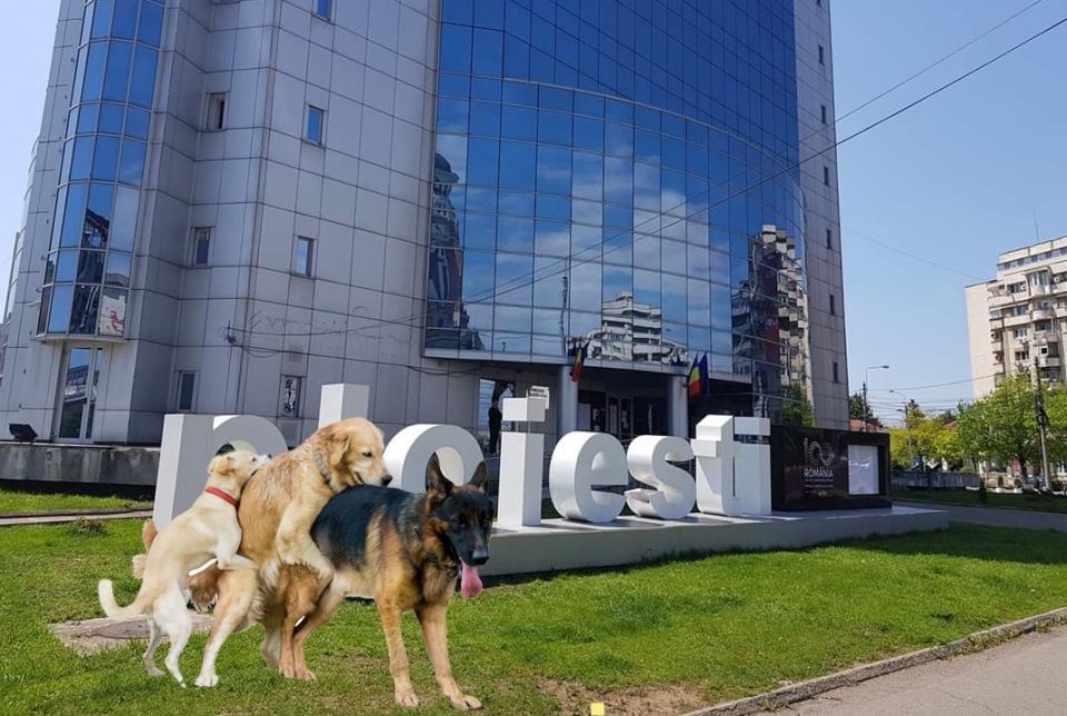 În UNIRE stă puterea! Imagini nedifuzate de la festivitățile Micii Uniri de la Ploiești