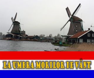 Acest decor post apocaliptic numit Ploiești