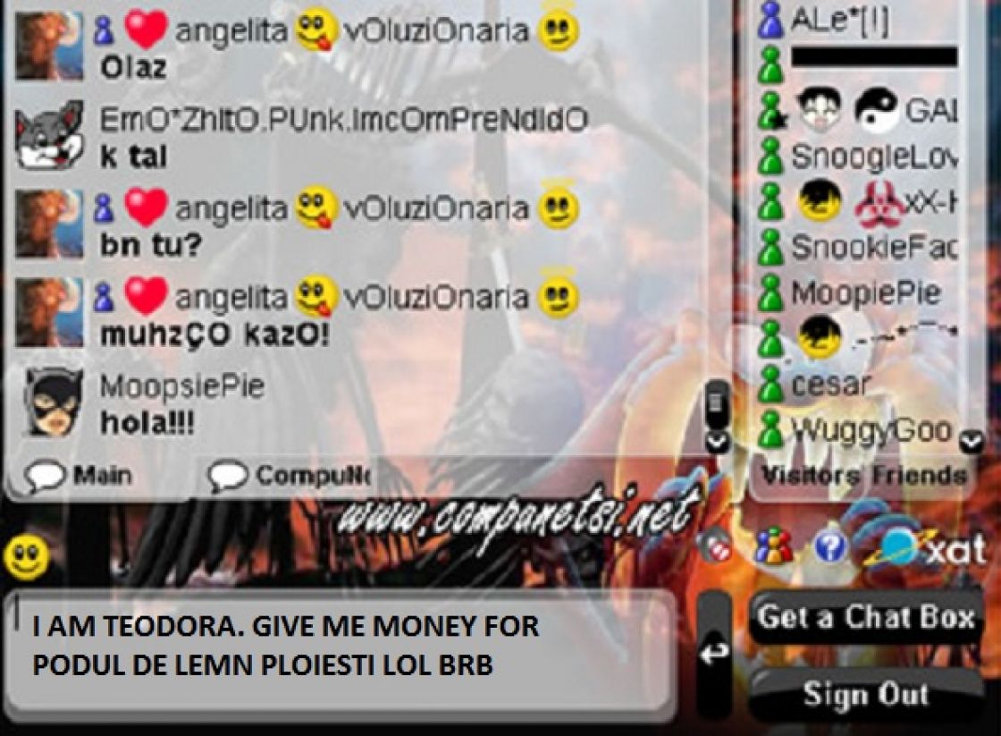 Mister elucidat. De fapt, Primăria Ploiești a trimis cererea de finanțare prin chatul Hi5, la o anume #VeveritaEmo