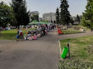 Metamorfoza în românism  IV. Relația autorități-cetățean și îmblânzirea „balaurului” administrativ